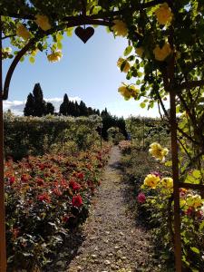 B&B / Chambres d'hotes Mas des Figues #PhilippeArtist #certifiebio #certifiedorganic #potagerbio #huiledolivebio #mediterraneandietbrunch #homemadecooking #biodiversity #roseraie #ecologicalgarden #agritourism #ecotourism #farmstay #guesthouse #saintremydeprovence #Alpilles : photos des chambres