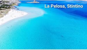 Sa blu del mare 2 img27