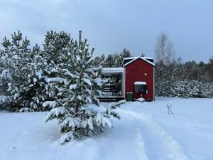 Tajnikowo Sekretny Tiny House Wasabi