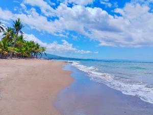 NICE WHITEPEBBLES Beach Front