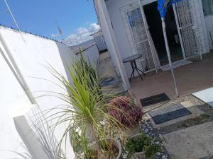 Alameda Jardim Serra Negra