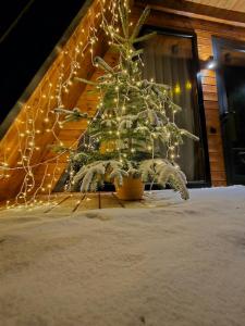 B&B Cottage in Mestia