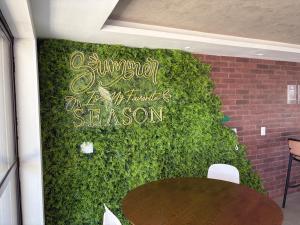 LUXO Flat Novo Season no Centrinho