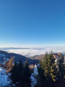 SkyLux Apartments Kopaonik - Residence Hill