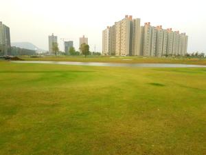 Elegant 1BHK-Scenic Beauty in Lodha Belmondo, Pune