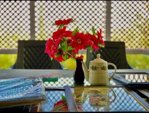 D’SHIEKHS RESORT GUREZ