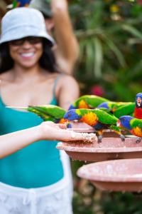 Tasman Holiday Parks - Airlie Beach
