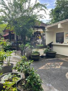 Roejas Sunrise Guest House