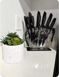 Luxxe Suite Downtown Brickell