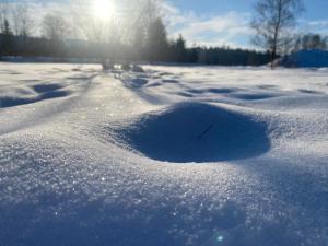 Domek Betula Izerska