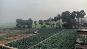 Sujata Buddha Homestay