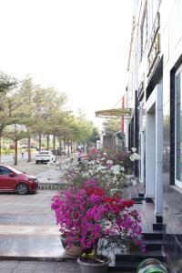 Bảo Cường Hotel