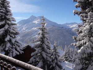 Appart'hotels Residence Le Tyrol : photos des chambres