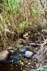 Cabaña Colibrí - Parking