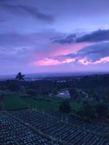 Sunset cottage & caffe