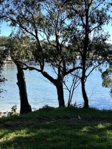 Parsley Bay garden apartment