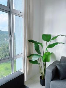 The Anderson Cozy Deluxe Homestay