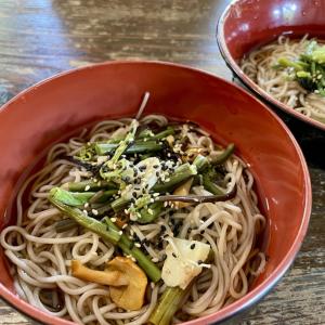 CatNook 猫ちぐら