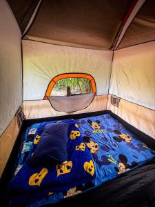 Pepee mini cafe ปีปีมินิ คาเฟ่ &โฮมสเตย์