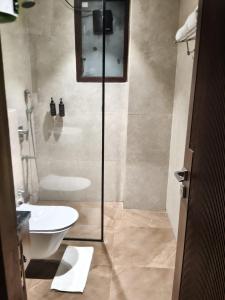 Saltstayz Premier - Sector 28 Faridabad