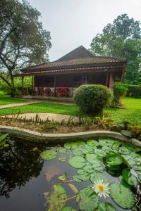 Satwa Elephant Ecolodge