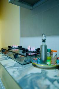 Cozy 1-BedRoom Apartment