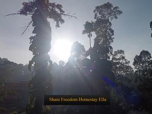 Shani Freedom Homestay Ella