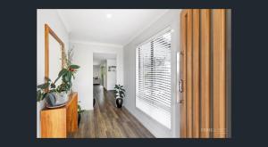 Between Trees and Tide