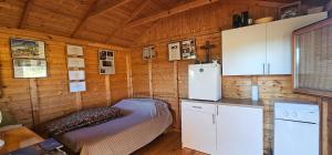 Robinson house Orkula in the heart of olives yard