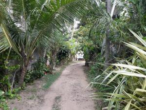Hectors Place