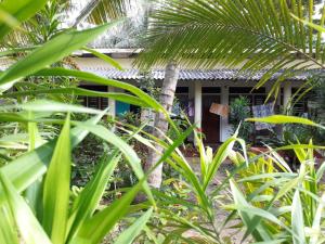 Hectors Place