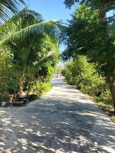 Green moon Home stay 54 with Fan