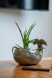 De Witte Brugh - Studio 4