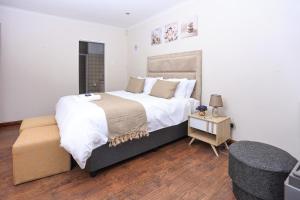 African Oasis Morrocco