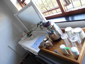 African Oasis Morrocco