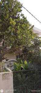 Shiva Preimum Hotels In Nainital