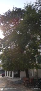 Shiva Preimum Hotels In Nainital