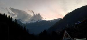 Forest view Home stay