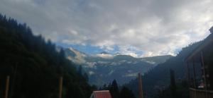 Forest view Home stay