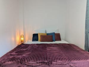 Boule de Neige - appartement spacieux et lumineux au coeur du vieux Luchon