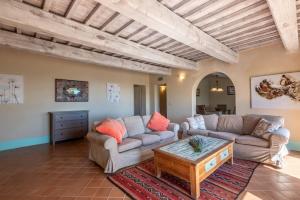 Apartment Olivo - 3 bedroom apartment in Tuscany