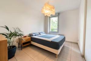 T2 Bord de Garonne - Parking - Clim - Piscine