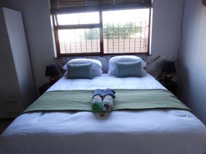 African Oasis Zambia