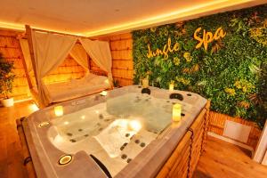 JUNGLE SPA-4 Pers-Jacuzzi-Parking-Jardin-Clim-Colmar