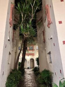 Beachside bliss in Bondi Beach