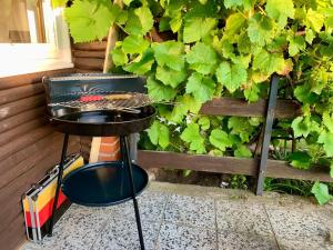 CHILL & GRILL See I Whirlpool I Kamin I Steg I Boot