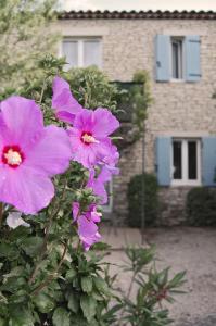 Maisons de vacances Cypres du Paradis a Gordes : photos des chambres