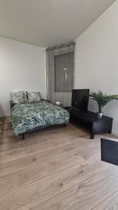 Appartement cosy neuf en plein centre