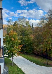 Studio with Forest View & green valley Bakuriani