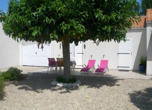 Lescapade - Ile dOléron